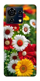 Чохол на ZTE Blade V50 Vita Flowers v11 фото 1 з 1