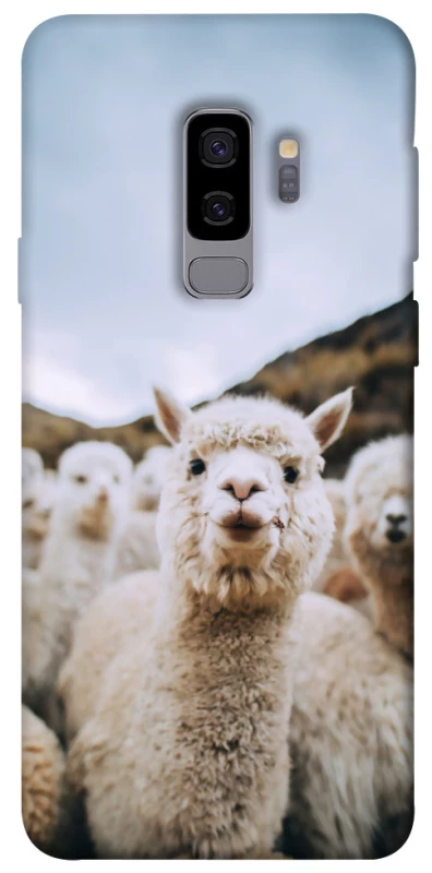 Чехол на Samsung Galaxy S9+ Лама фото 1 из 1