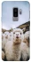 Чехол на Samsung Galaxy S9+ Лама фото 1 из 1