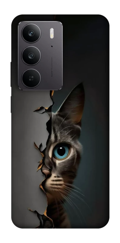 Чехол на Realme C75 Кот-подглядыватель v2 фото 1 из 1