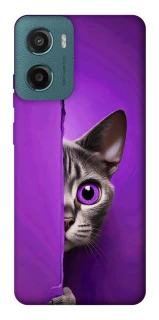 Чохол на Motorola Moto G06 Кіт-підглядач фото 1 з 1
