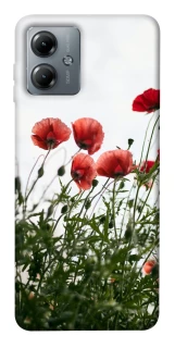 Чохол на Motorola Moto G14 Поле маків фото 1 з 1
