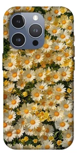 Чехол на Apple iPhone 16 Pro Max Camomile фото 1 из 1