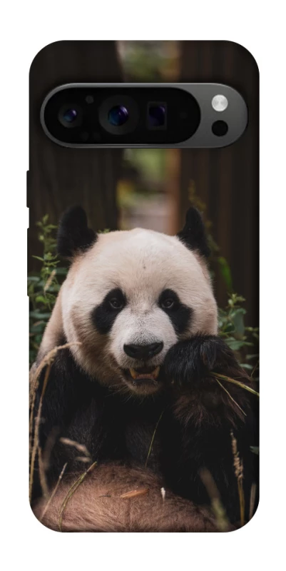 Чехол на Google Pixel 9 Pro Панда фото 1 из 1