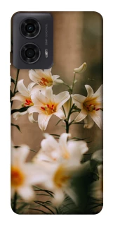 Чохол на Motorola Moto G04 Лілії фото 1 з 1