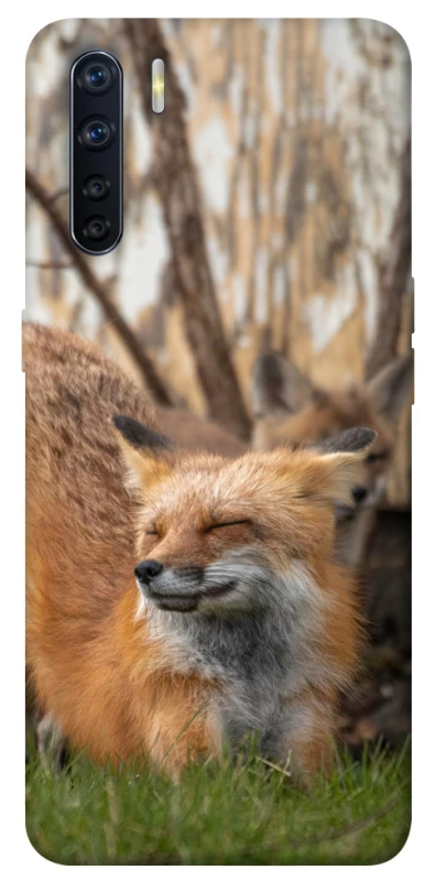 Чехол на Oppo A91 Лиса фото 1 из 1