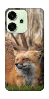 Чехол на Oppo Reno 14 Лиса фото 1 из 1