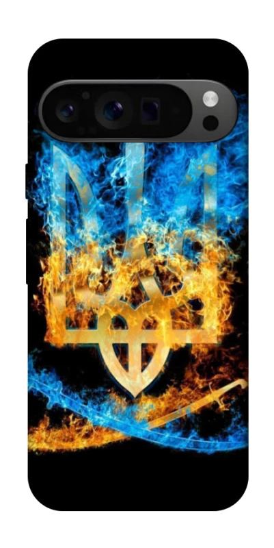 Чехол на Google Pixel 9 Pro Герб v16 фото 1 из 1