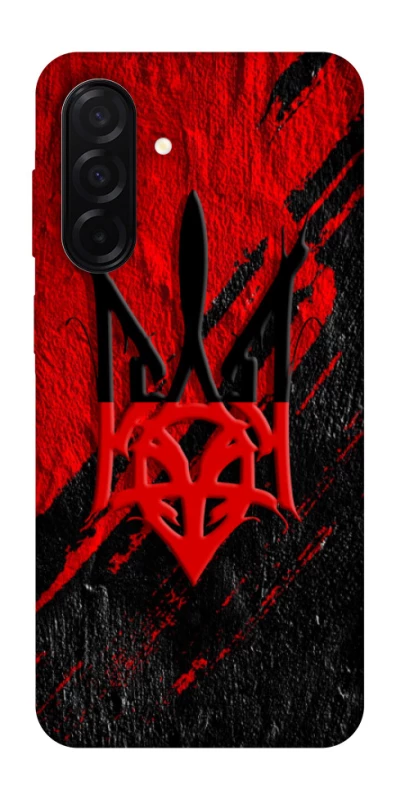 Чехол на Samsung Galaxy A26 5G Герб v17 фото 1 из 1