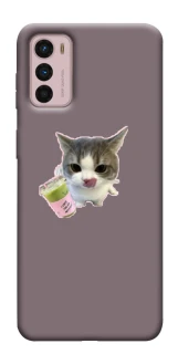 Чохол на Motorola Moto G42 cat matcha фото 1 з 1