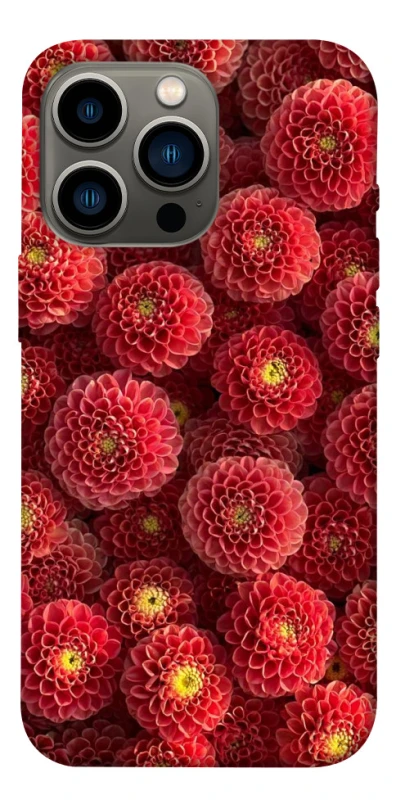 Чохол на Apple iPhone 13 Pro (6.1") Midnight1 фото 1 з 1