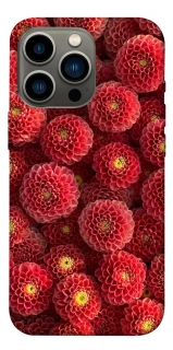 Чохол на Apple iPhone 13 Pro (6.1") Midnight1 фото 1 з 1