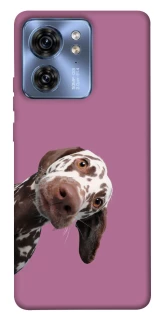 Чохол на Motorola Edge 40 А що тут фото 1 з 1