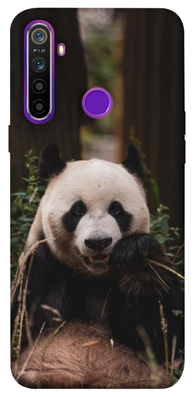 Чехол на Realme 5 Панда фото 1 из 1