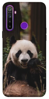 Чехол на Realme 5 Панда фото 1 из 1