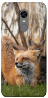 Чехол на Xiaomi Redmi 5 Plus / Redmi Note 5 (Single Camera) Лиса фото 1 из 1