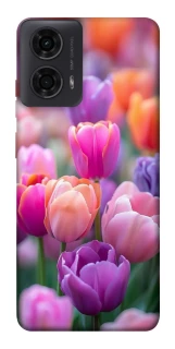 Чохол на Motorola Moto G24 Тюльпанове поле фото 1 з 1