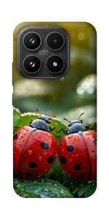 Чехол на Xiaomi 17 Flowers v23 фото 1 из 1