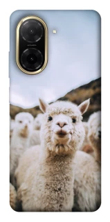 Чехол на Xiaomi Redmi A5 (Europe version) Лама фото 1 из 1