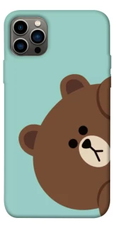 Чехол на Apple iPhone 12 Pro (6.1") bear фото 1 из 1
