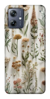 Чохол на Motorola Moto G54 Floral design ver.2 фото 1 Чохол на Motorola Moto G54 Floral design ver.2 фото 1 з 1