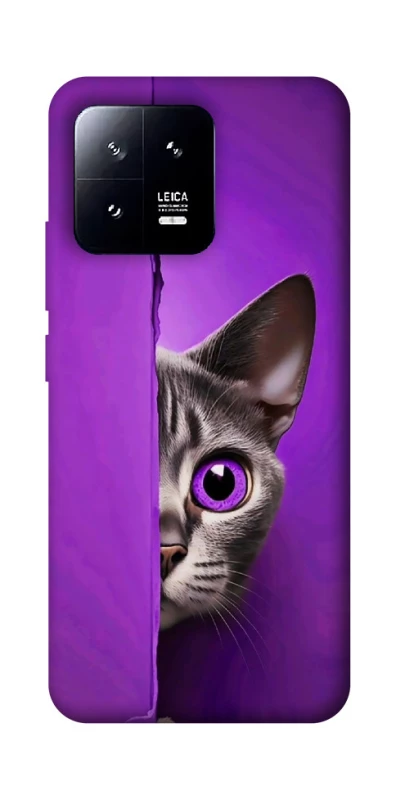 Чехол на Xiaomi 13 Кот-подглядыватель фото 1 из 1