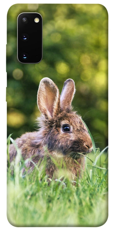 Чохол на Samsung Galaxy S20 Кролики фото 1 з 1