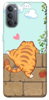 Чохол на Oppo Reno 4 Cat the meow фото 1 з 1