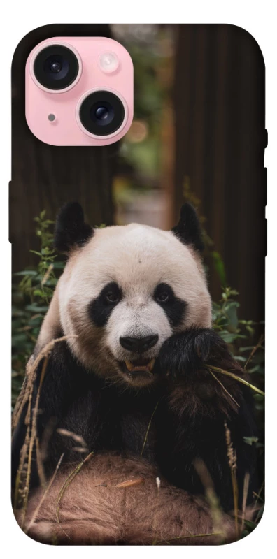 Чехол на Apple iPhone 15 (6.1") Панда фото 1 из 1
