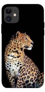 Чохол на Apple iPhone 11 (6.1") Leopard v2 фото 1 з 1