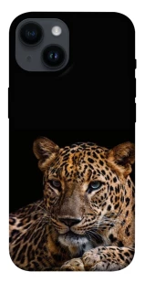 Чехол на Apple iPhone 14 (6.1") Leopard v4 фото 1 из 1