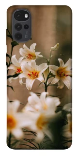 Чохол на Motorola Moto G22 Лілії фото 1 з 1