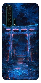 Чехол на Huawei Honor 20 Pro torii gate фото 1 из 1