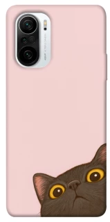 Чехол на Xiaomi Redmi K40 / K40 Pro / K40 Pro+ / Poco F3 Peeping cat фото 1 из 1
