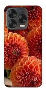 Чохол на ZTE Blade V70 Design Flower1 фото 1 з 2