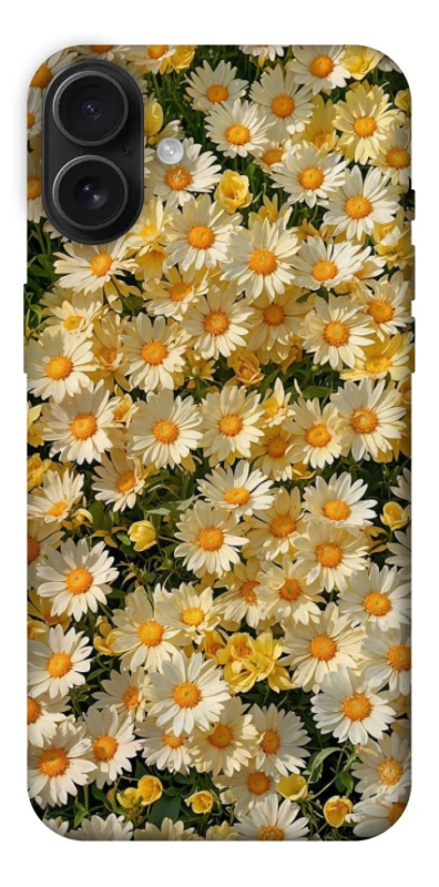 Чохол на Apple iPhone 16 Plus Camomile фото 1 з 1