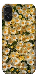 Чохол на Apple iPhone 16 Plus Camomile фото 1 з 1