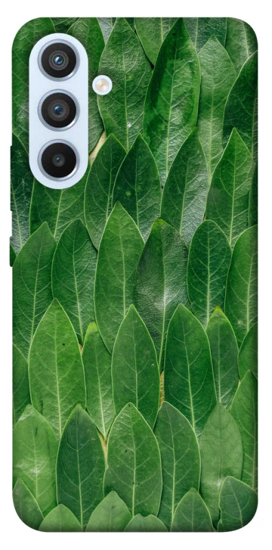 Чохол на Samsung Galaxy A54 5G Листя фото 1 з 1