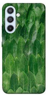 Чохол на Samsung Galaxy A54 5G Листя фото 1 з 1