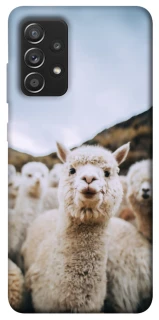 Чохол на Samsung Galaxy A52 4G / A52 5G Лама фото 1 з 1