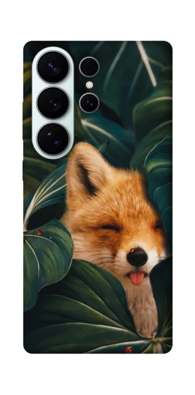 Чехол на Samsung Galaxy S26 Fox фото 1 из 1