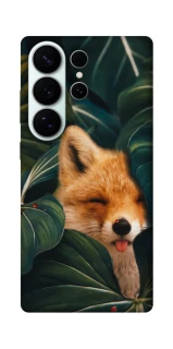 Чехол на Samsung Galaxy S26 Pro Fox фото 1 из 1