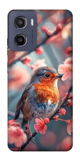 Чехол на Motorola Moto G05 Birdie фото 1 из 1