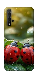 Чохол на Huawei Honor 20 / Nova 5T Flowers v23 фото 1 з 1