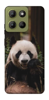 Чехол на Motorola Moto G15 4G Панда фото 1 из 1