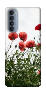 Чехол на Oppo Reno 4 Pro Поле маков фото 1 из 1