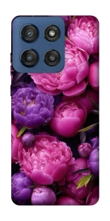 Чехол на Motorola Edge 60 Stylus Garden2 фото 1 из 1