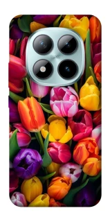 Чохол на Xiaomi Redmi Note 15 Pro+ 5G Flowers v30 фото 1 з 1
