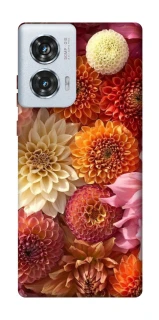 Чохол на Motorola Edge 50 Fusion Bouquet фото 1 з 1