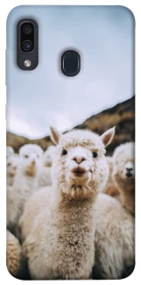 Чехол на Samsung Galaxy A20 / A30 Лама фото 1 из 1